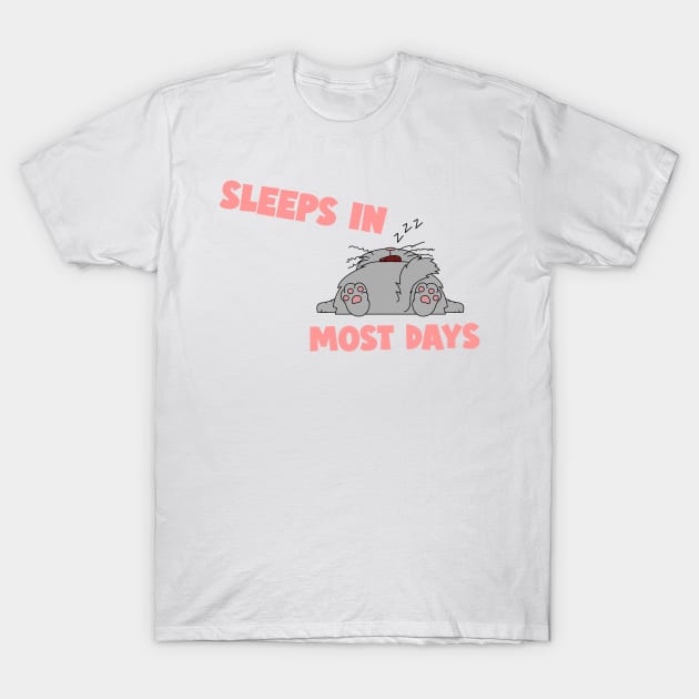 Sleeps in most days T-Shirt by ArchBridgePrints